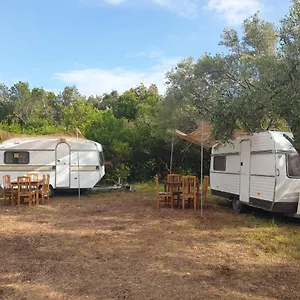  Campingplatz Aquariumi Jale